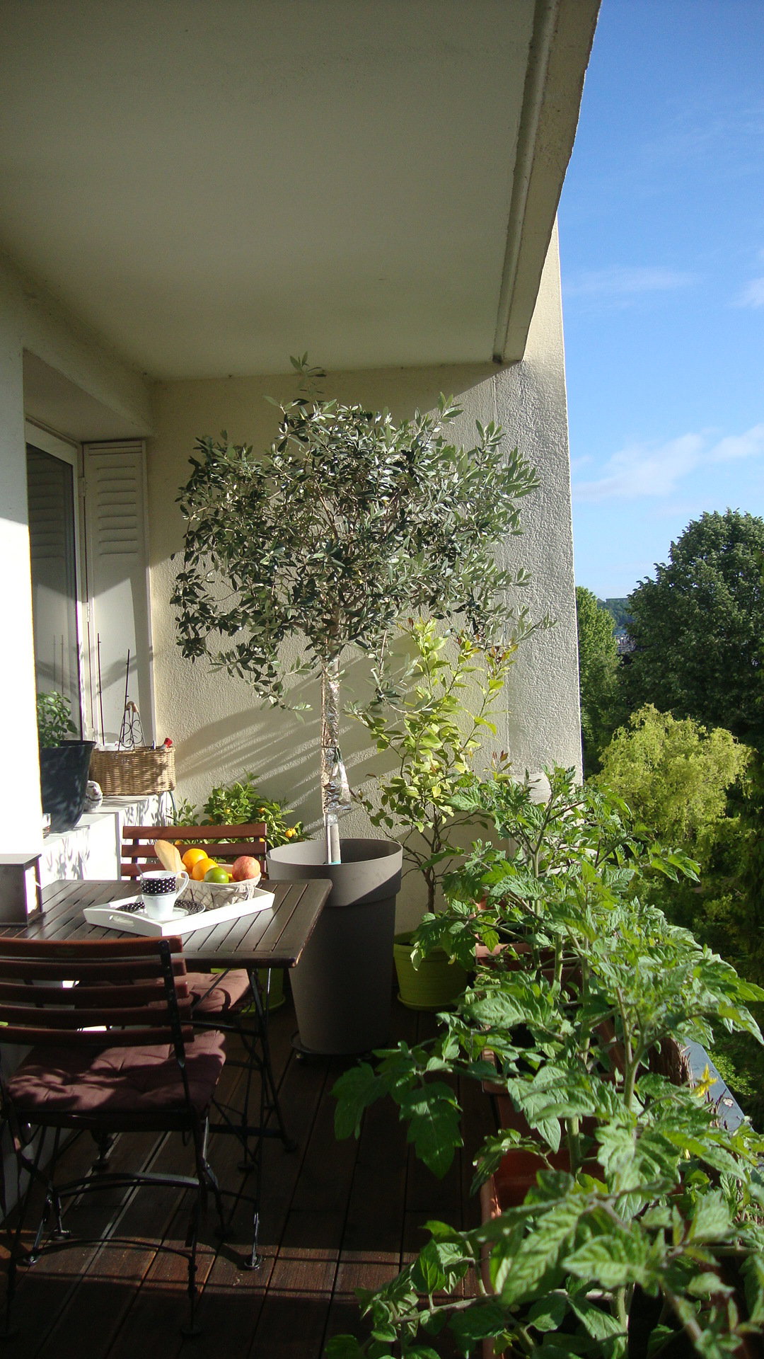 Homestay Saint-Cloud 131614