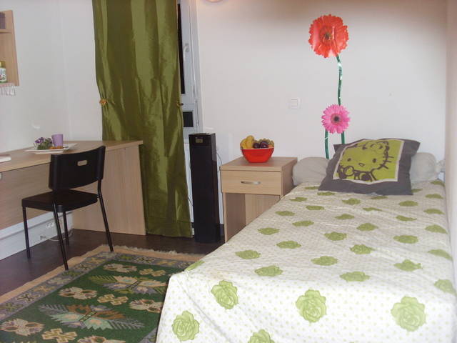 Homestay Villeurbanne 46158-1