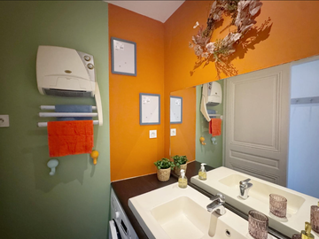 Logement entier à louer à Lyon - photo 5 : salle de bain-5