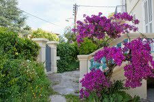 Onafhanklike Ateljee Nice 74887