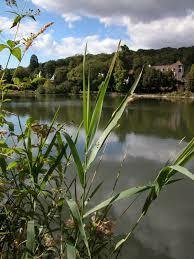 Gastgezin Chaville 74270