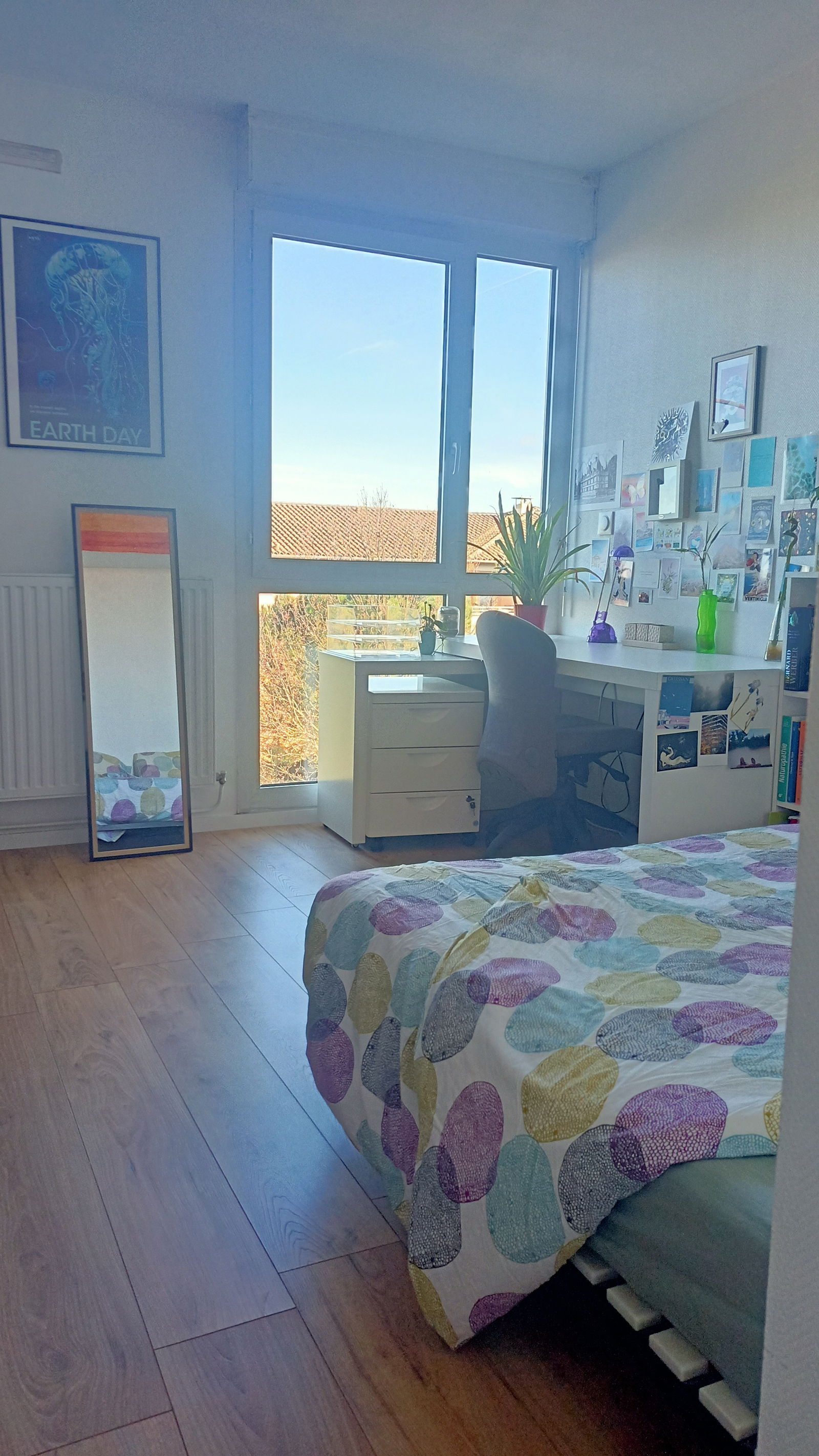 Chambre Chez L'habitant Toulouse 659369