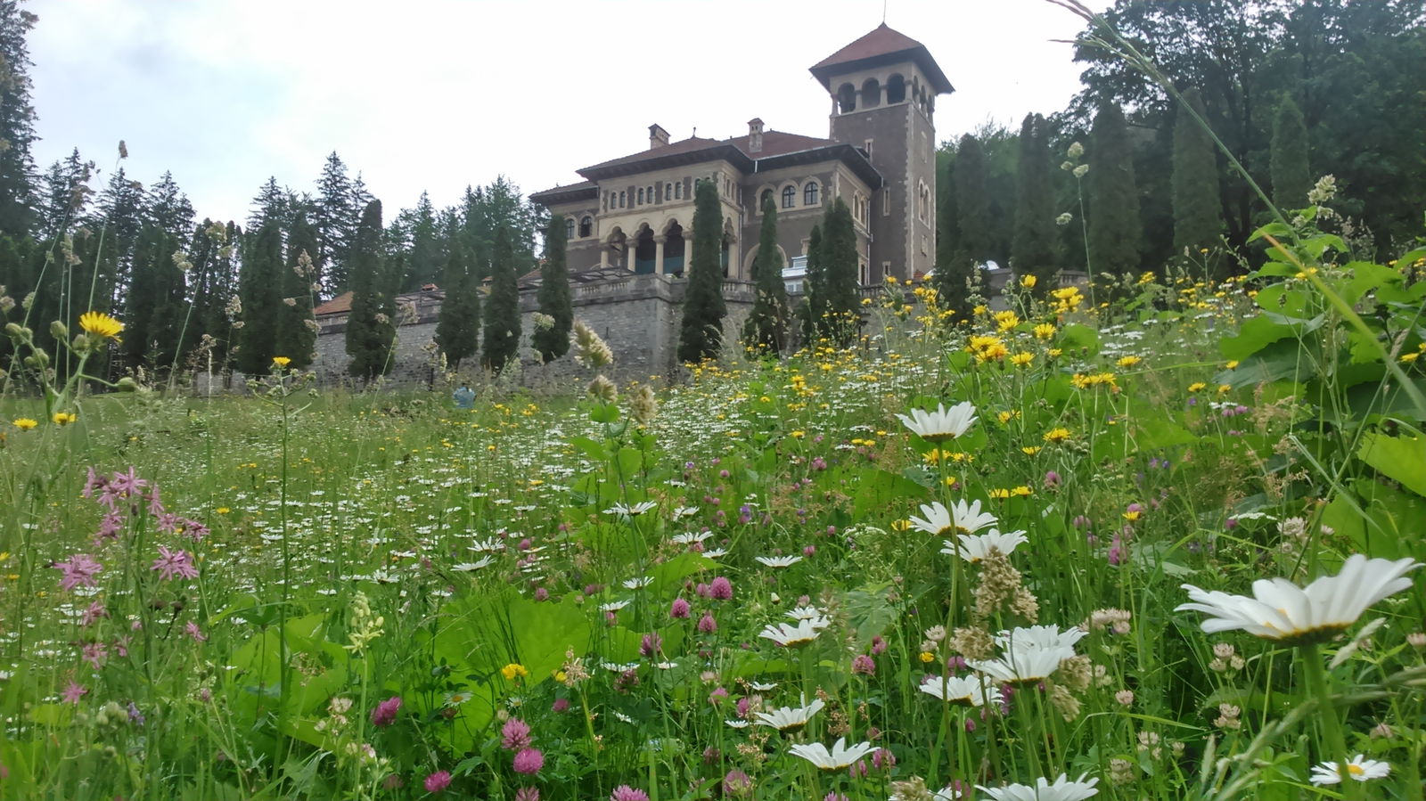 Unabhängiges Studio Busteni 40086