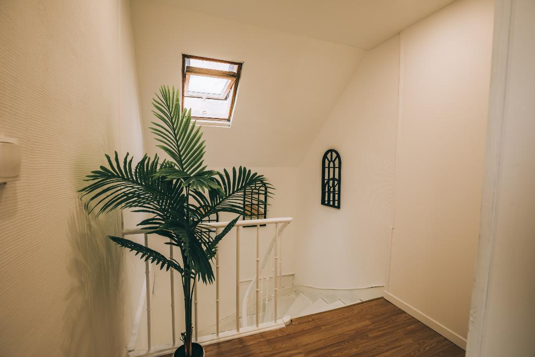 Colocatie Le Mans 383312