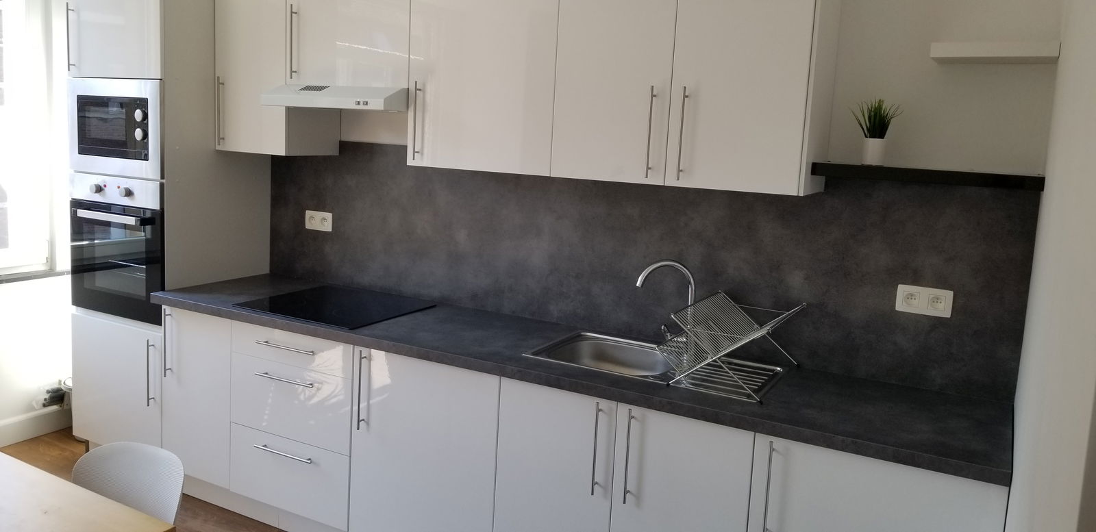 Kolokasie Tournai 242043