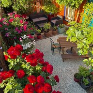 Logement Entier Argent-sur-Sauldre 663097