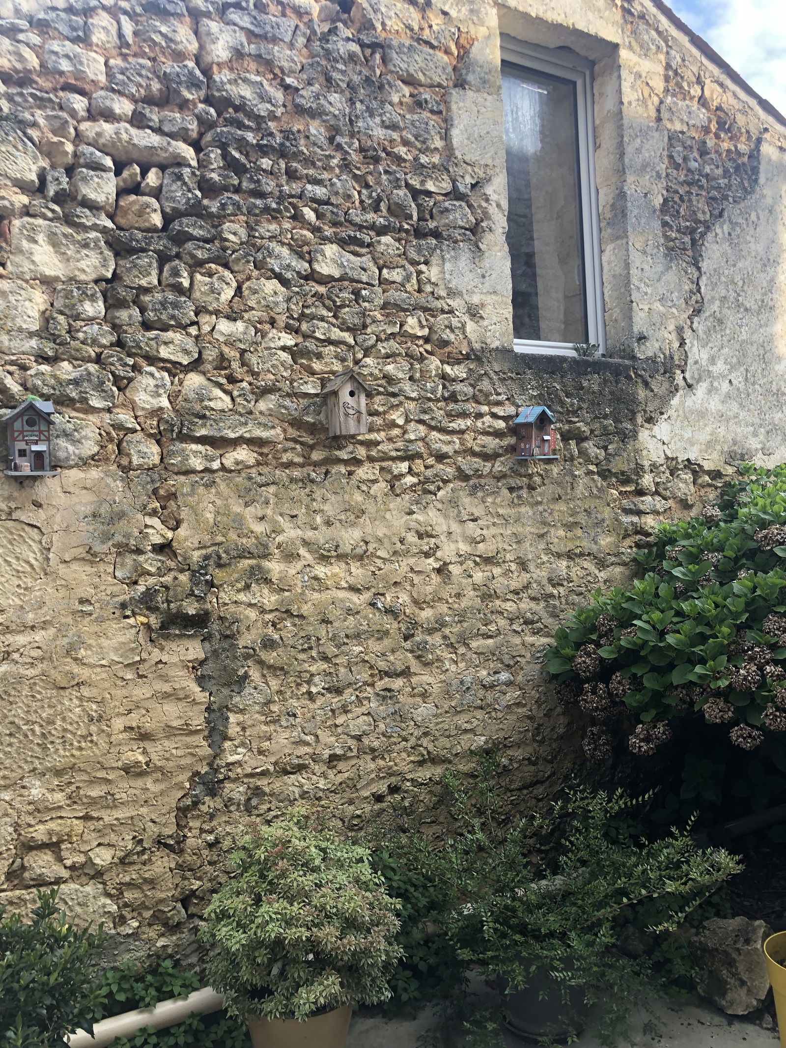 Gastfamilie Chiré-en-Montreuil 372058