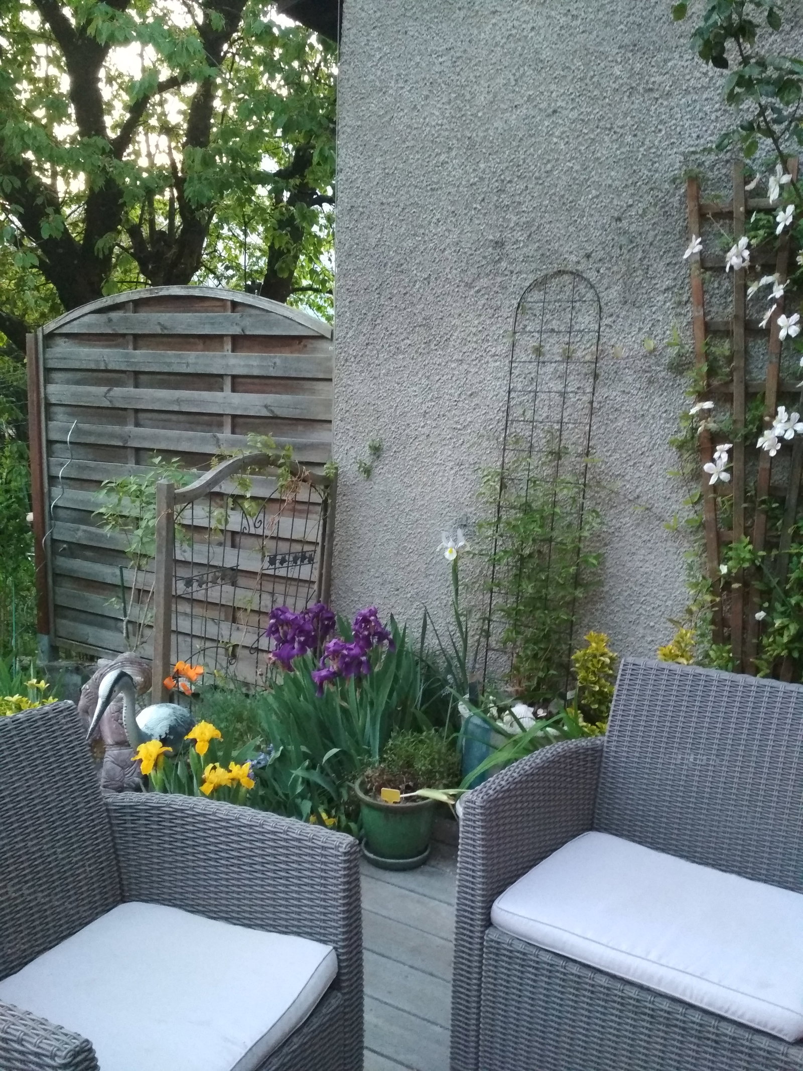 Homestay La Pierre 479340