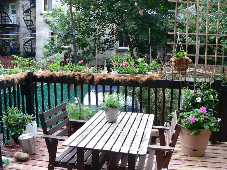 Colocatie Montréal 110034-3