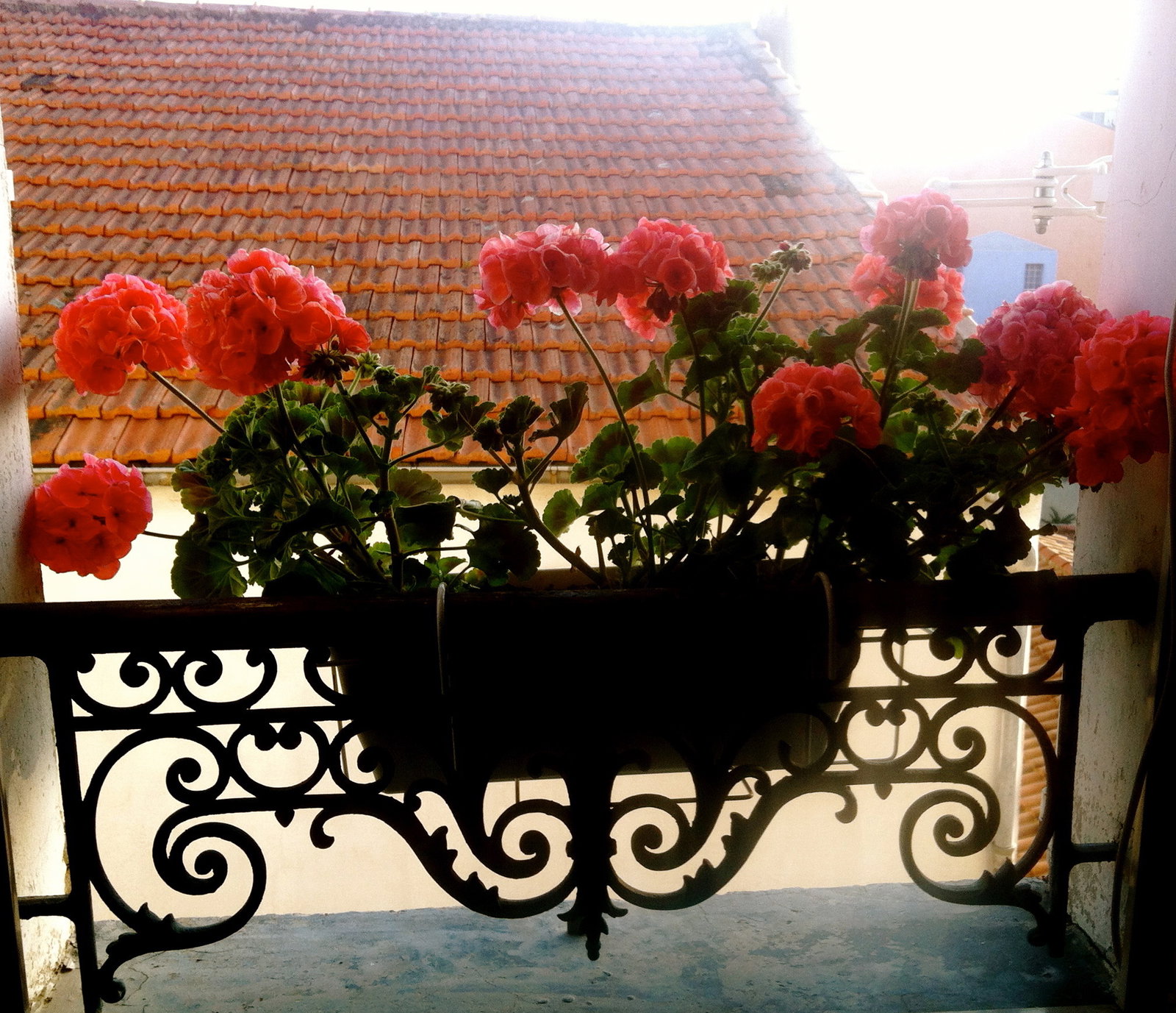 Homestay Draguignan 104200