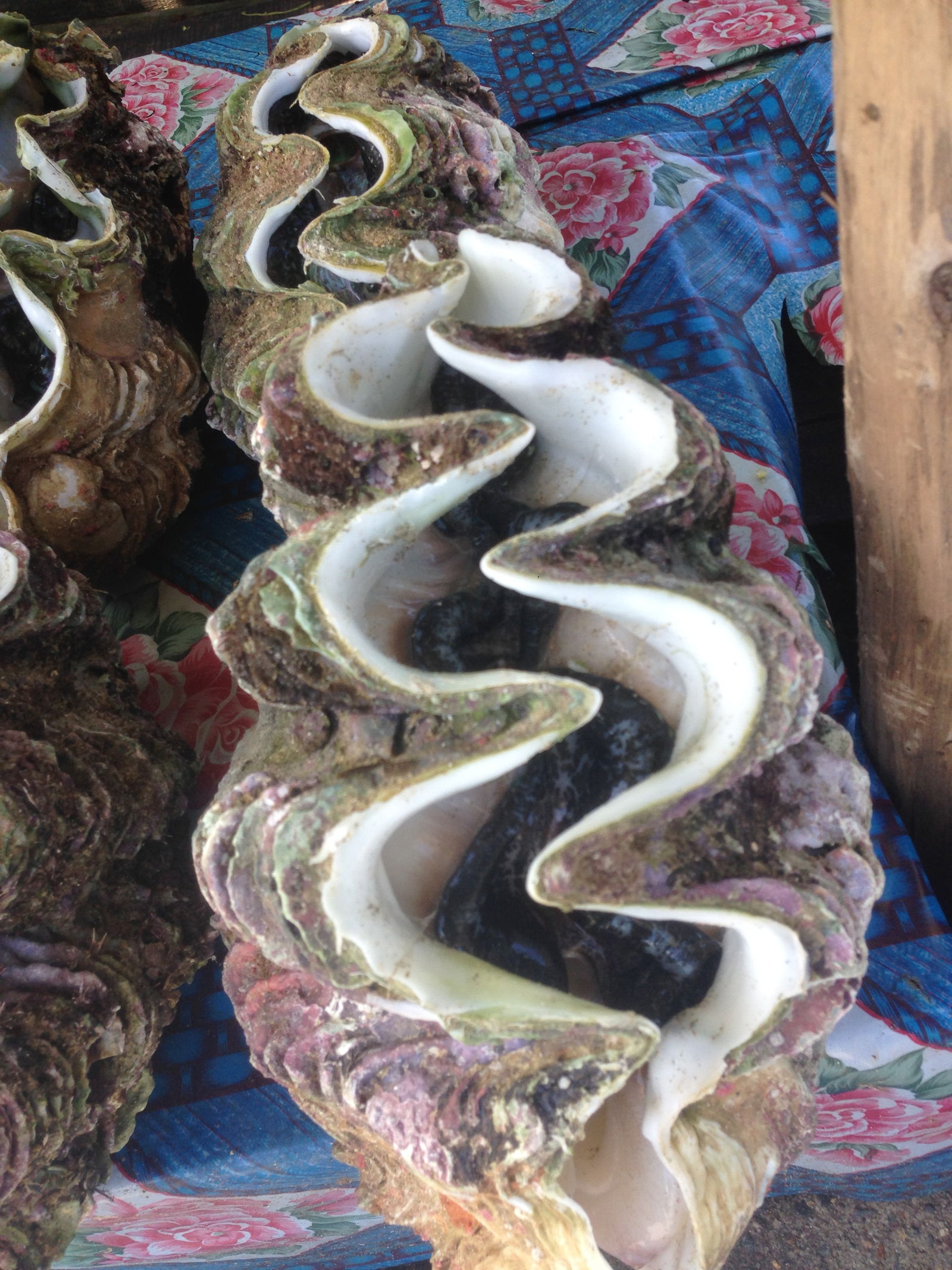 Gastfamilie Nosy-Be 222627