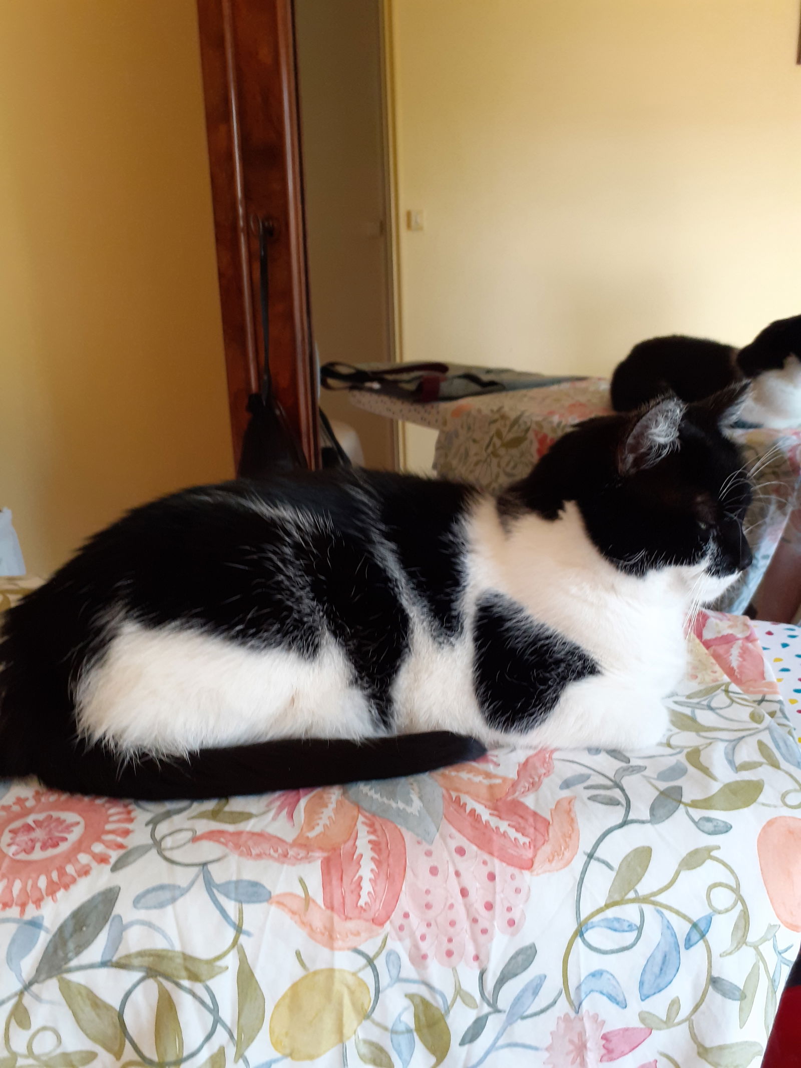 Homestay Bois-Guillaume 637488