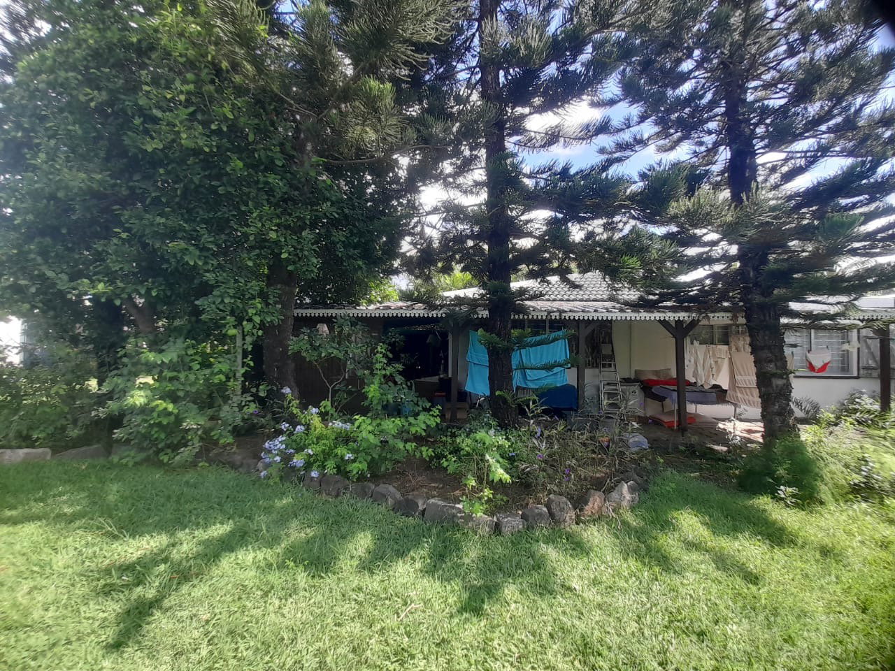 Kolokation Rivière Noire 190271