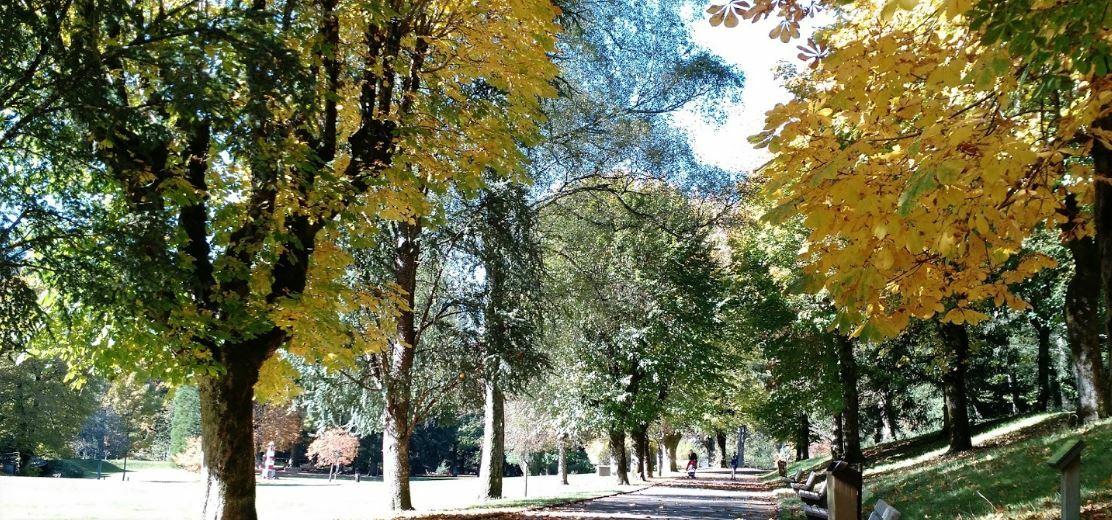 Unabhängiges Studio La Bourboule 259657