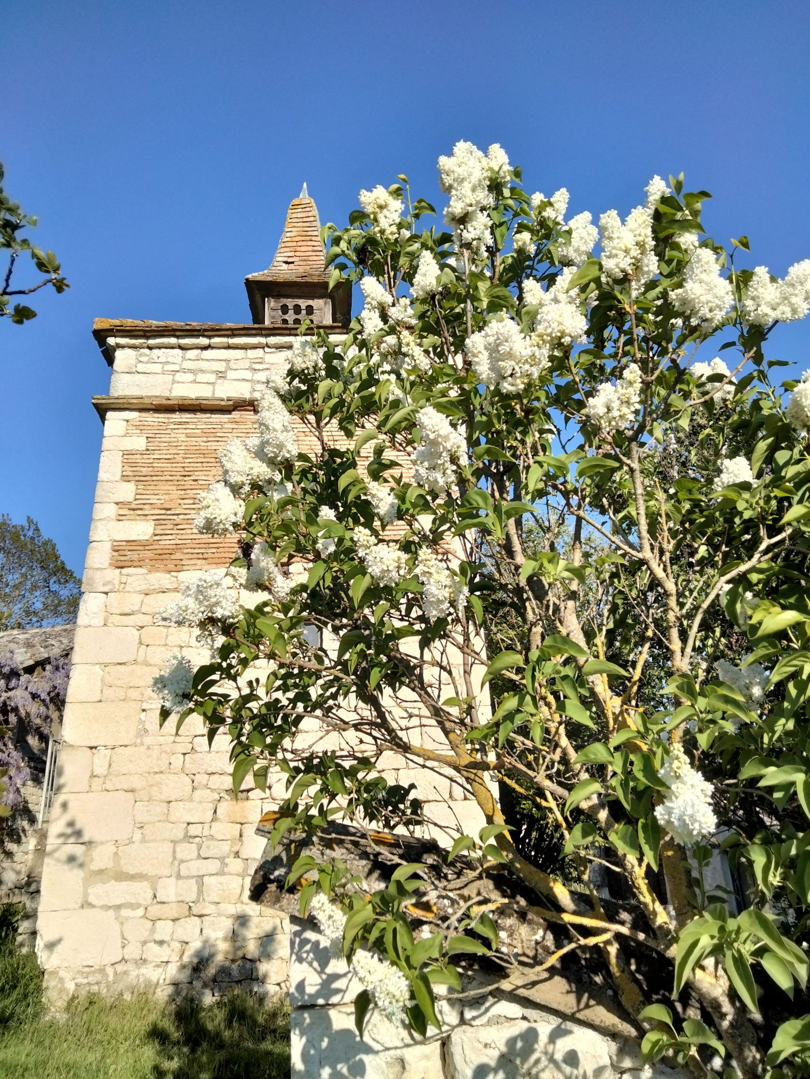 Gastfamilie Belfort-du-Quercy 275107