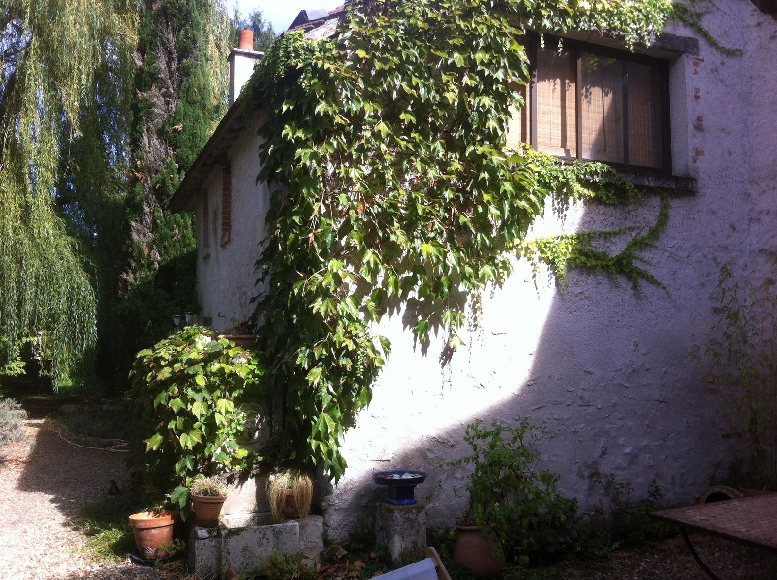 Gastfamilie Suèvres 146219