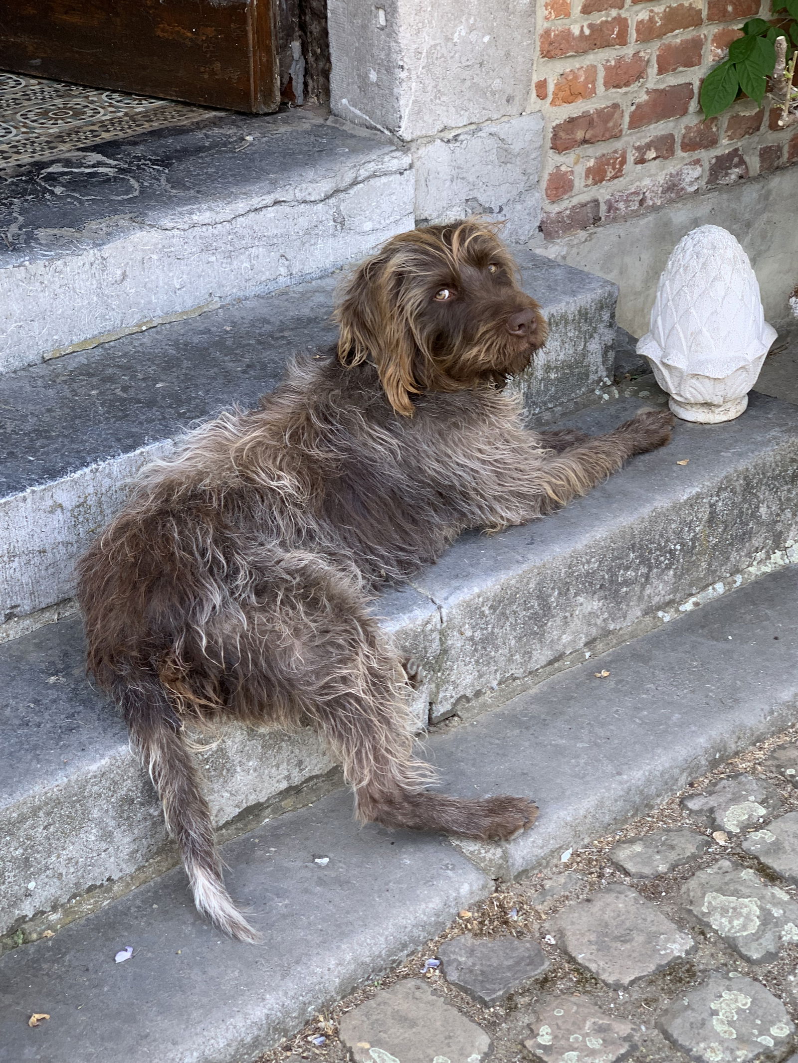 Gastfamilie Juprelle 302882