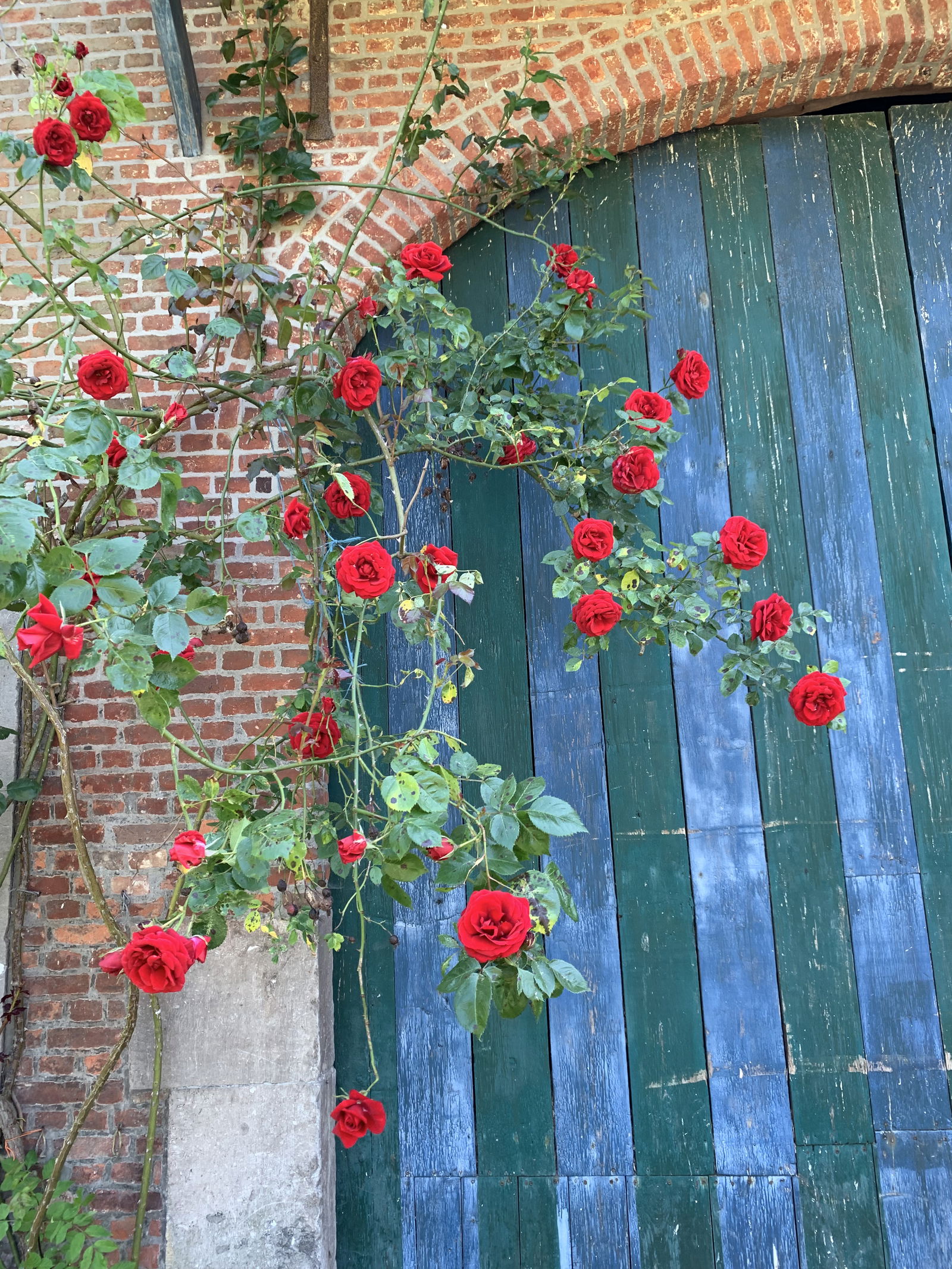 Gastfamilie Juprelle 302882