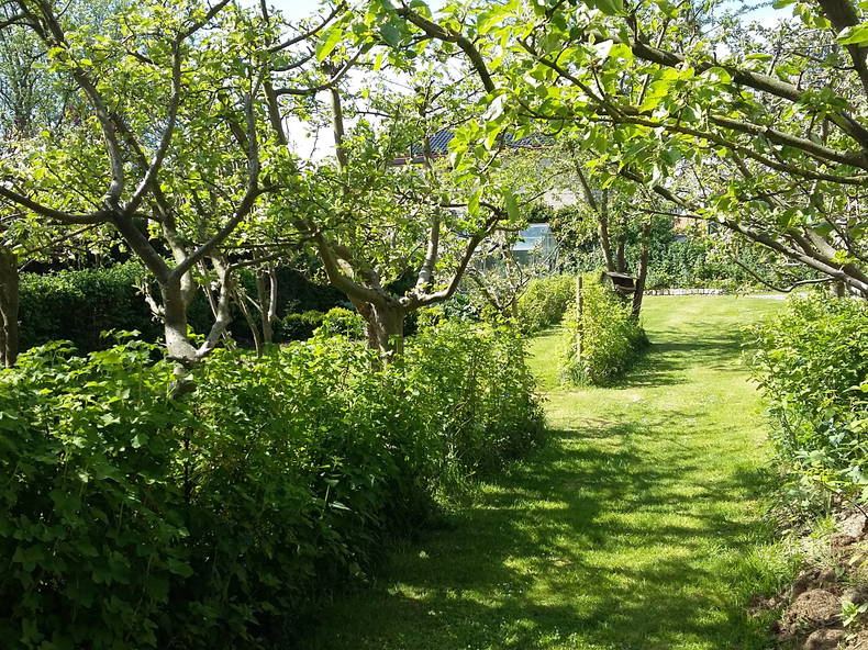 Chambre Chez L'habitant Tatinghem 131060-1