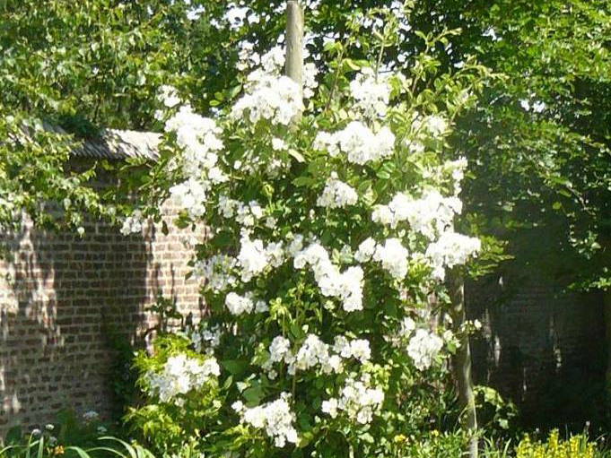 Chambre Chez L'habitant Tatinghem 131060-2