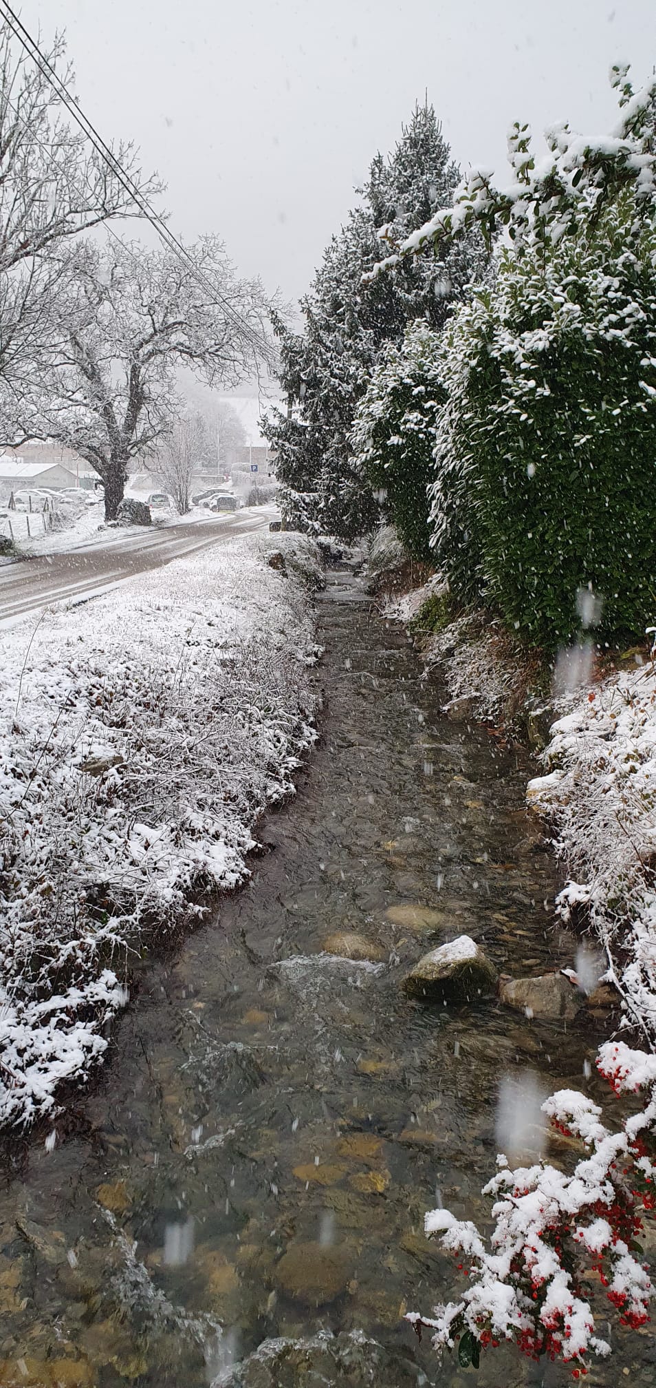 Hjemmeophold La Pierre 479340