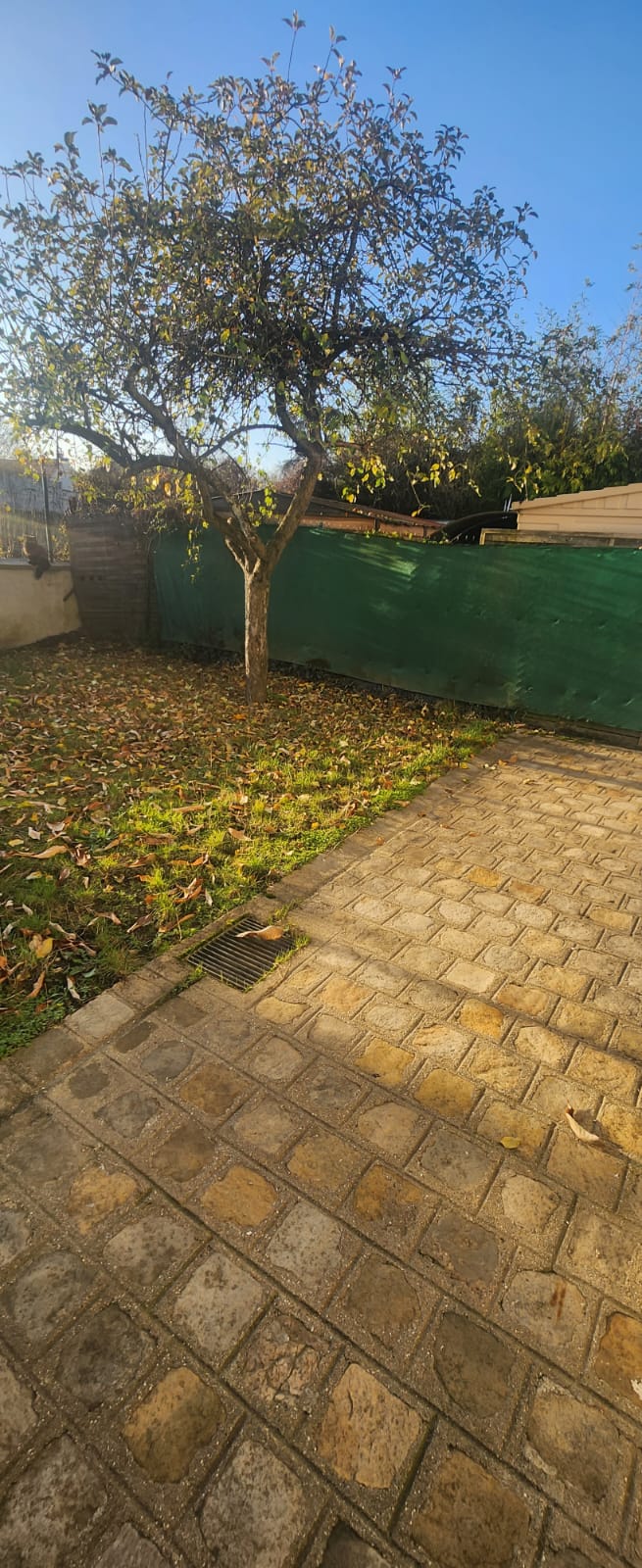 Oberoende Studio Bois-le-Roi 452420
