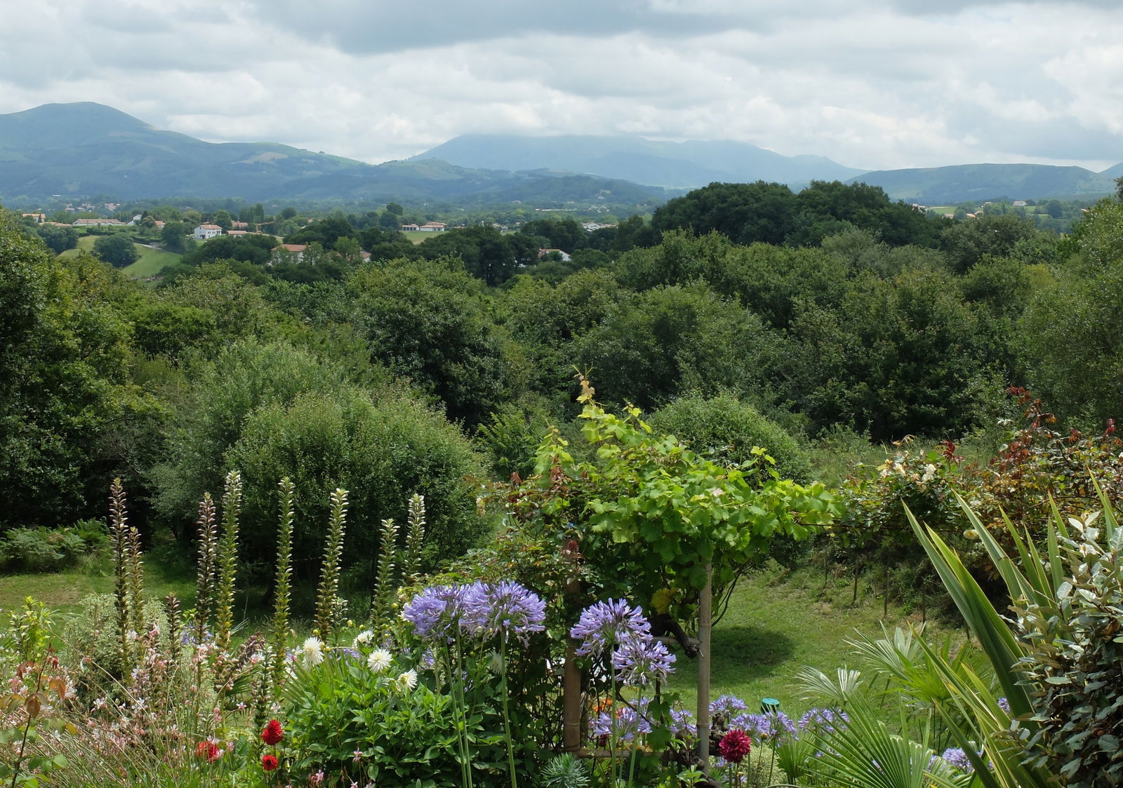 Oberoende Studio Larressore 87437