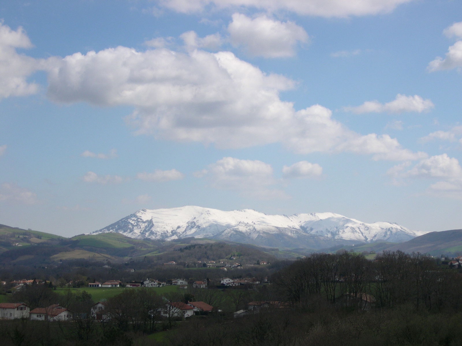 Oberoende Studio Larressore 87437