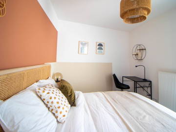 Chambre À Louer Villeurbanne 265571