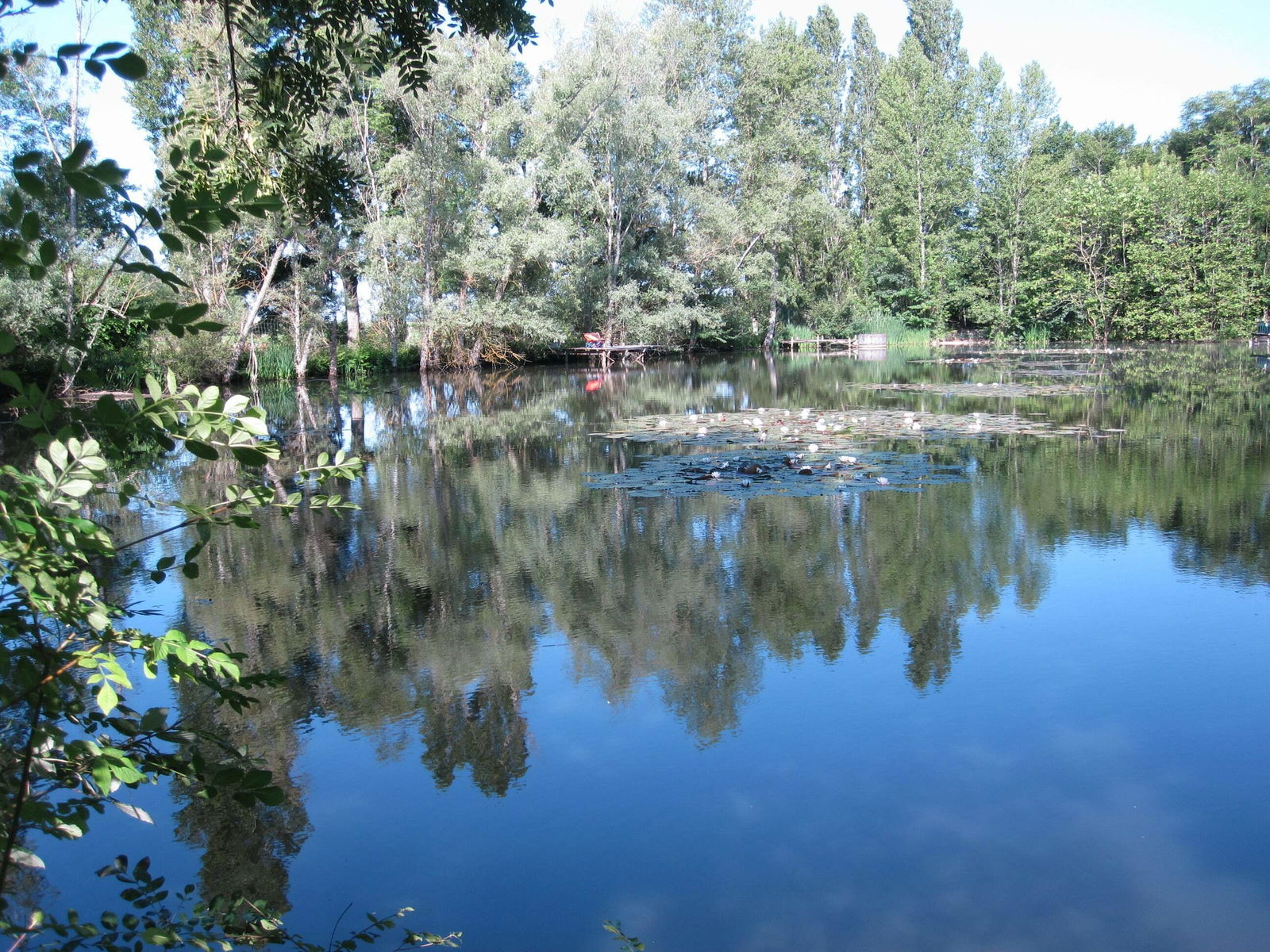 Entire Home Monestier 93757