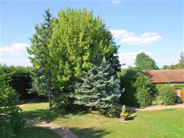 Chambre À Louer Dolus-Le-Sec 85615