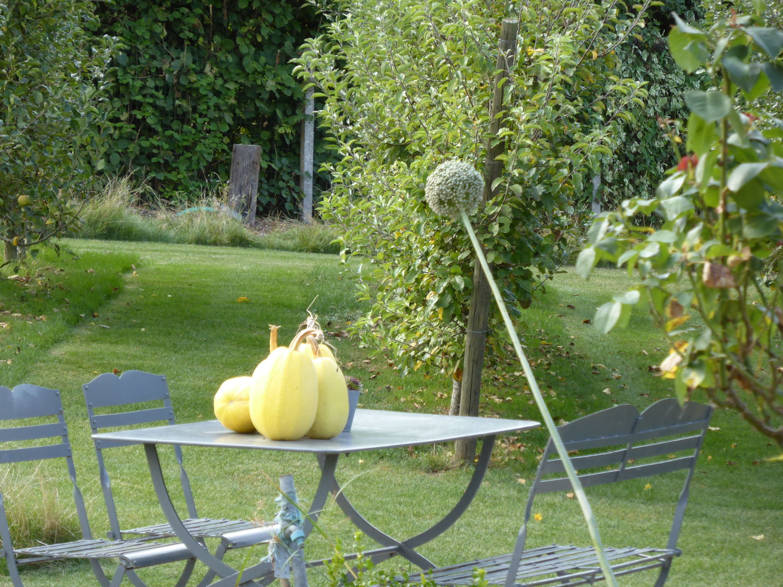 Bed And Breakfast Steenwerck 148341