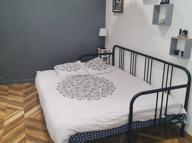 Entire Home Vaulx-en-Velin 262868-1