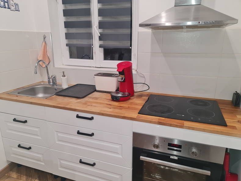 Entire Home Vaulx-en-Velin 262868-5