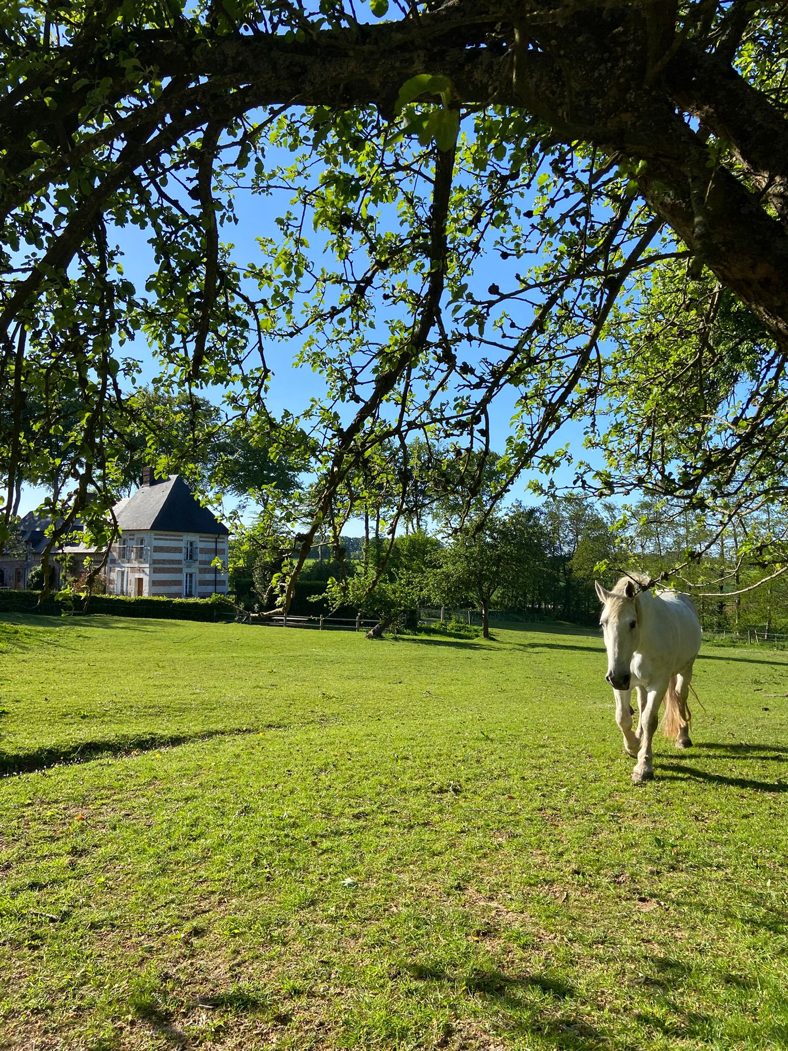 Entire Home Bretteville du Grand Caux 66102