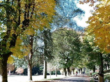 Logement Entier La Bourboule 259657-9