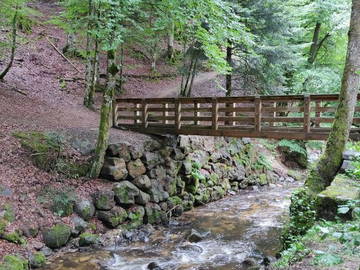 Logement Entier La Bourboule 259657-11