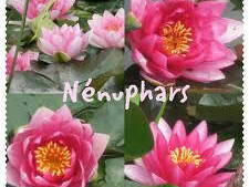 Logement Entier Chaville 94704-9