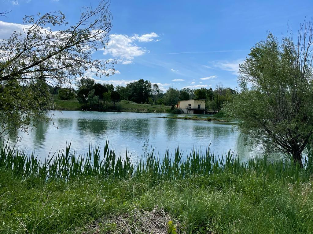 Independent Studio Pouzols 146276