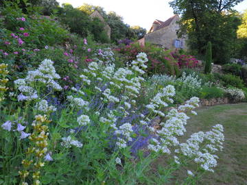 Chambre D'hôte Vitrac 43083-4
