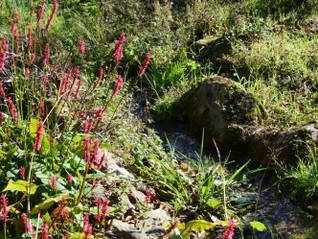 Chambre D'hôte Vitrac 43083-10