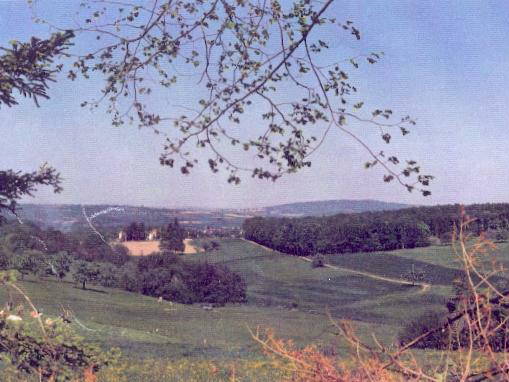 Chambres D'hôtes Cosswiller 5324-3