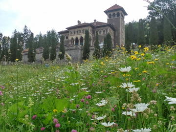 Logement Entier Busteni 40086-7