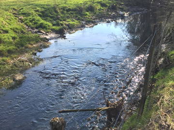 Homestay Breuvannes-En-Bassigny 263295-10