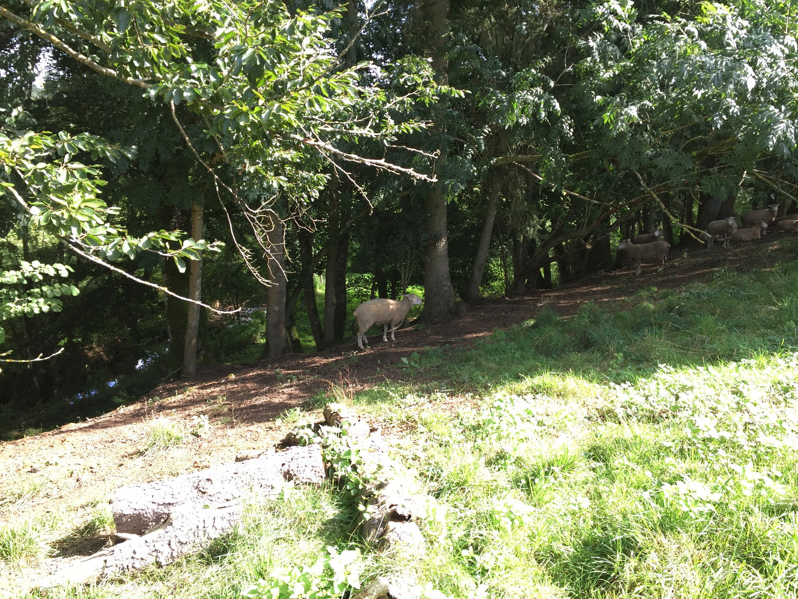 Homestay Breuvannes-en-Bassigny 263295