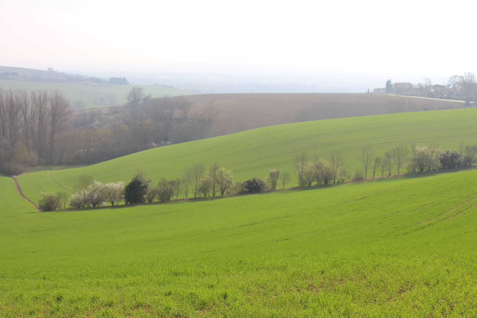 Bed And Breakfast Clermont-le-Fort 186356