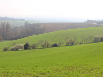 Chambre D'hôte Clermont-Le-Fort 186356-6