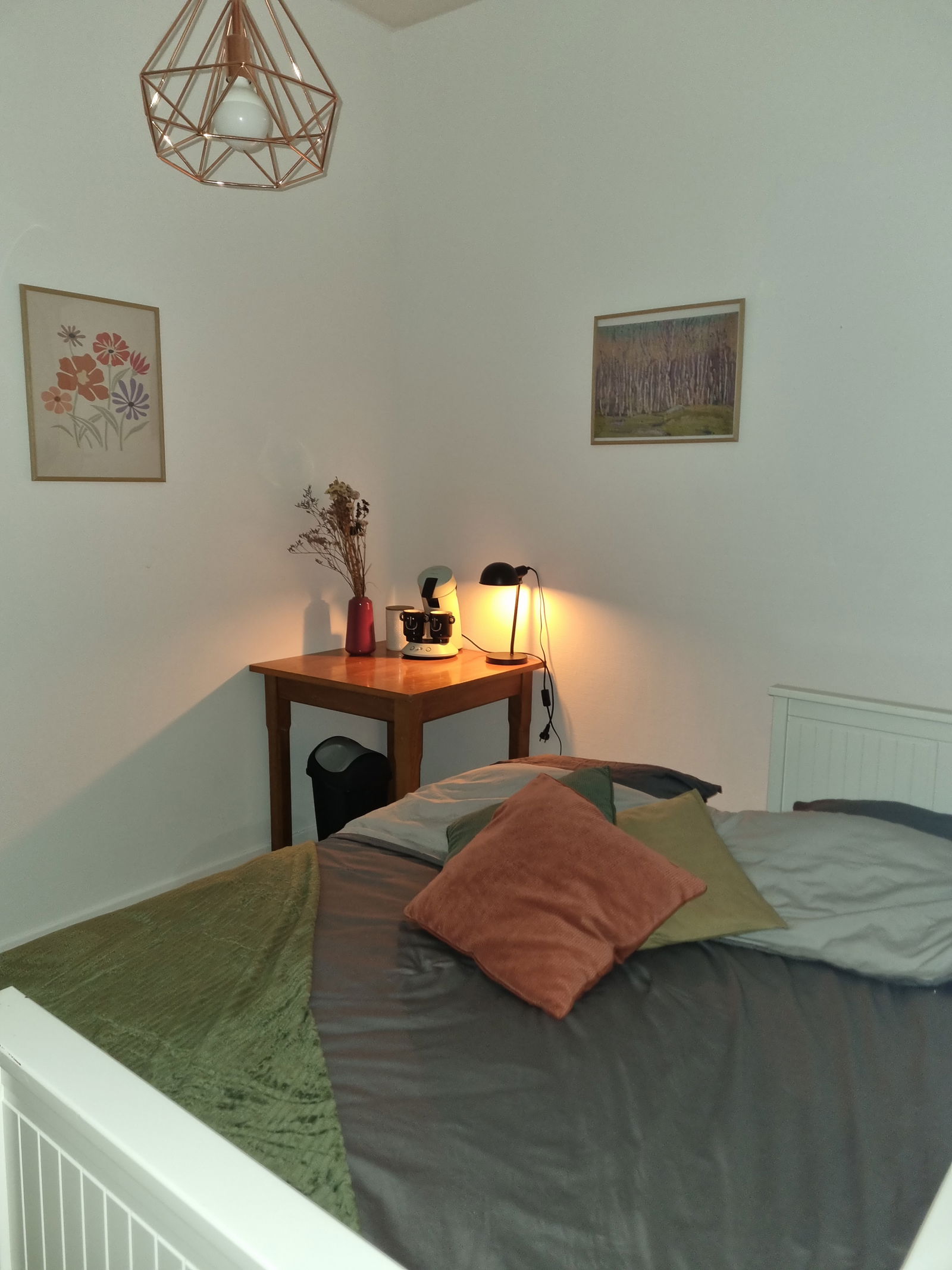 Colocation Arras 456575