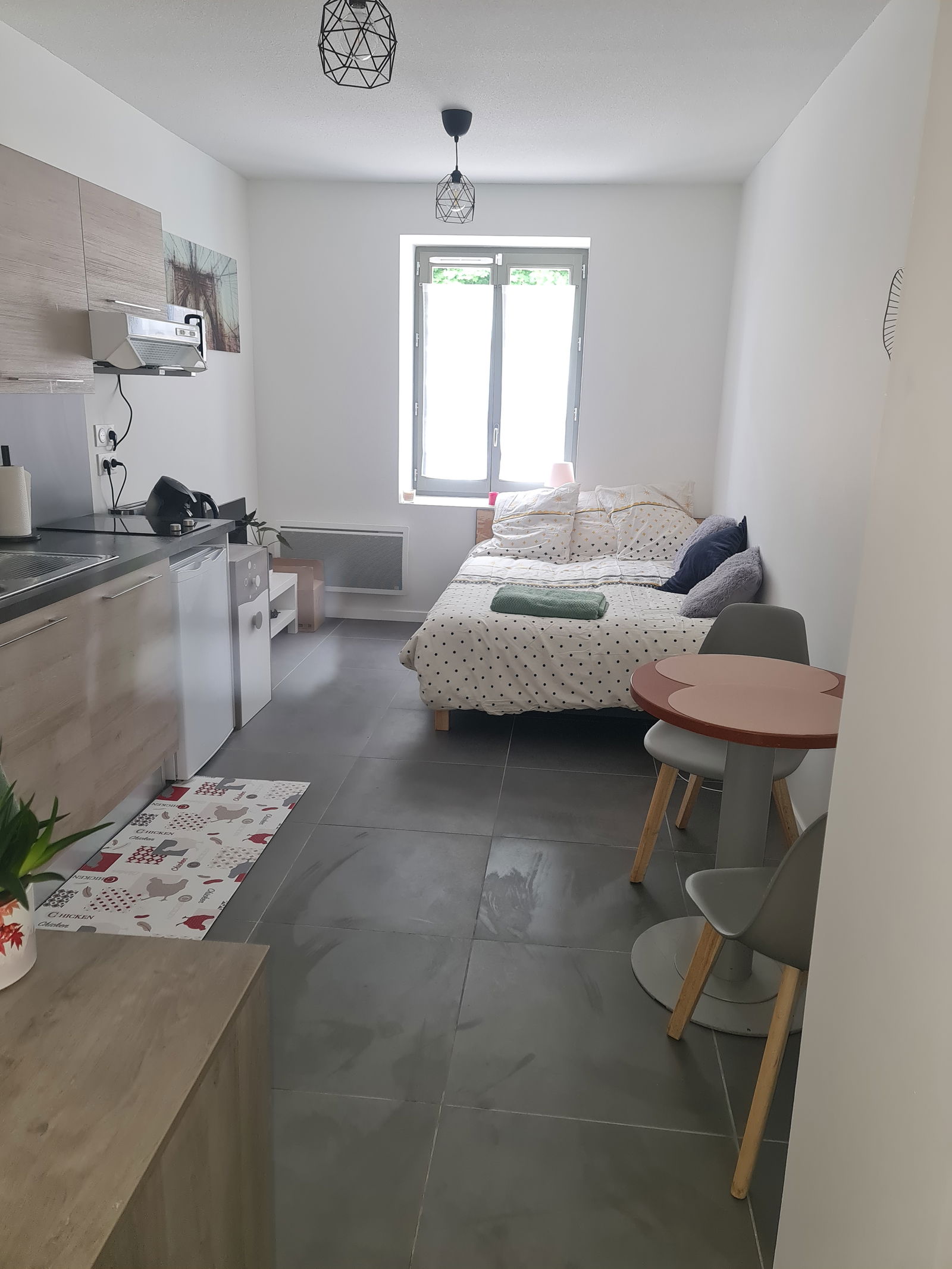 Entire Home Lyon 281423