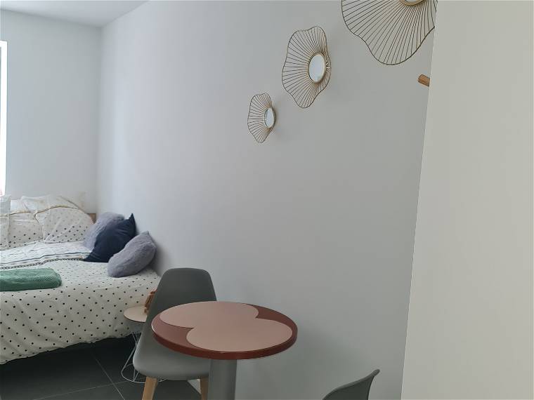 Chambre À Louer Lyon 281423